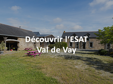 Miniature ESAT Val de Vay