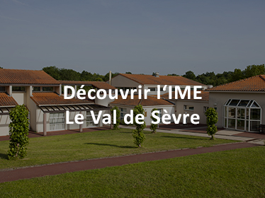 Miniature IME Le Val de Sèvre