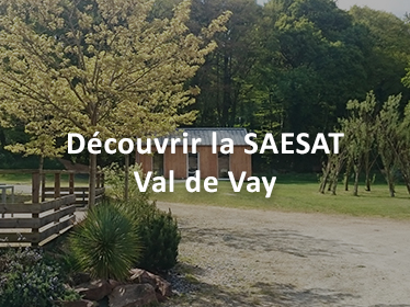 Miniature SAESAT Val de Vay