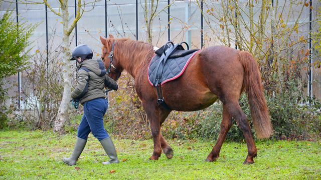 La médiation animale favorise les liens naturels qui existent entre l’homme et les animaux.