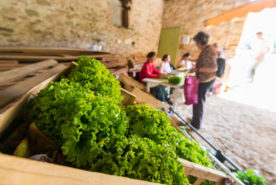 Le marché bio chaque mercredi matin à l'ESAT Val de Vay